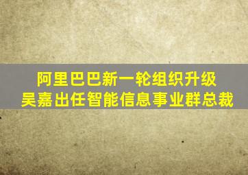 阿里巴巴新一轮组织升级 吴嘉出任智能信息事业群总裁